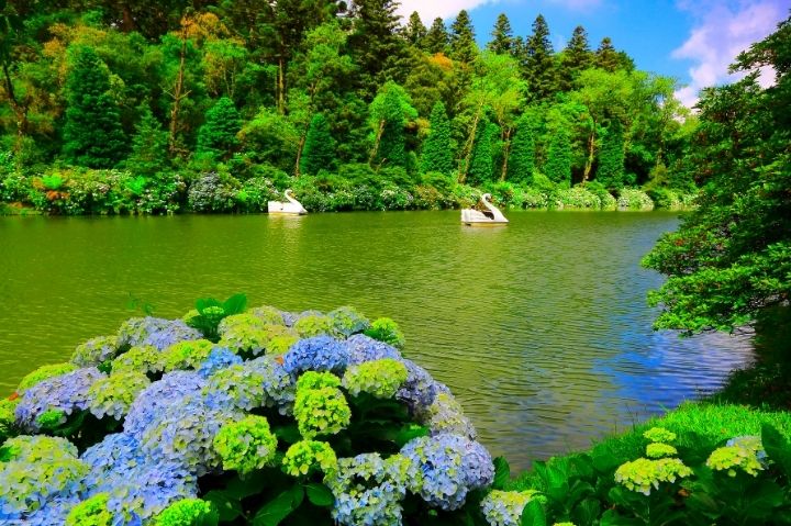 lago negro gramado